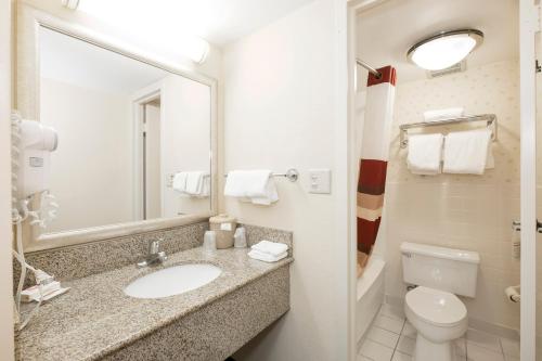 a bathroom with a sink and a toilet and a mirror at Red Roof Inn Annapolis in Annapolis