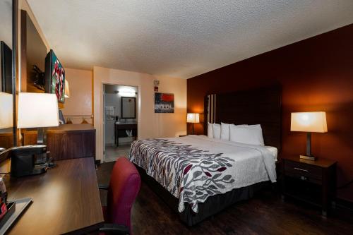 a hotel room with a bed and a desk at Red Roof Inn Valdosta - University in Valdosta