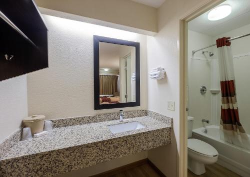 a bathroom with a sink and a toilet and a mirror at Red Roof Inn Chicago-OHare Airport Arlington Hts in Arlington Heights