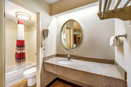 a bathroom with a sink and a toilet and a mirror at Red Roof Inn Detroit - Plymouth/Canton in Plymouth