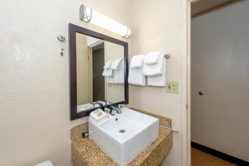 y baño con lavabo blanco y espejo. en Red Roof Inn Jacksonville - Cruise Port, en Jacksonville