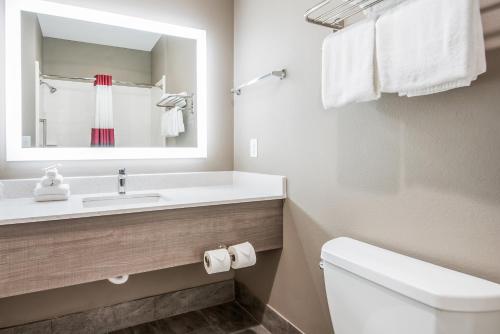 a bathroom with a sink and a toilet and a mirror at Red Roof Inn Baytown in Baytown