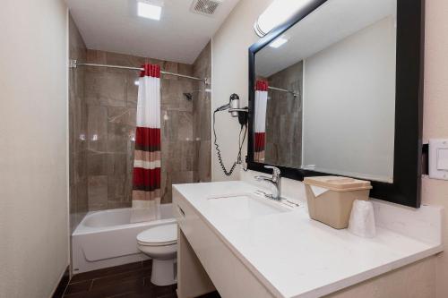 a bathroom with a sink and a toilet and a mirror at Red Roof Inn Starkville - University in Starkville