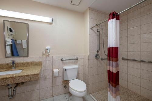 uma casa de banho com um WC, um lavatório e um chuveiro em Red Roof Inn Muscle Shoals em Muscle Shoals