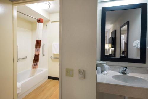 ein Badezimmer mit einem Waschbecken, einer Badewanne und einem Spiegel in der Unterkunft Red Roof Inn Benton Harbor - St. Joseph in Benton Harbor
