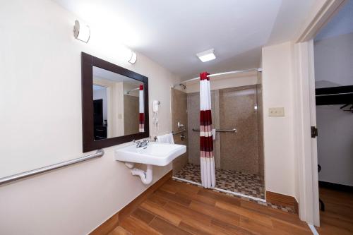 a bathroom with a sink and a shower at Red Roof Inn PLUS+ Huntsville – Madison in Madison