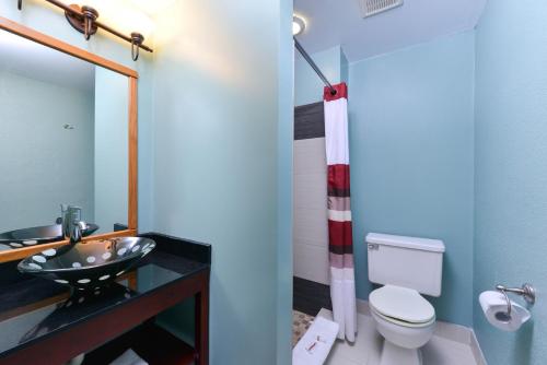 a bathroom with a sink and a toilet and a mirror at Red Roof Inn Chambersburg in Chambersburg