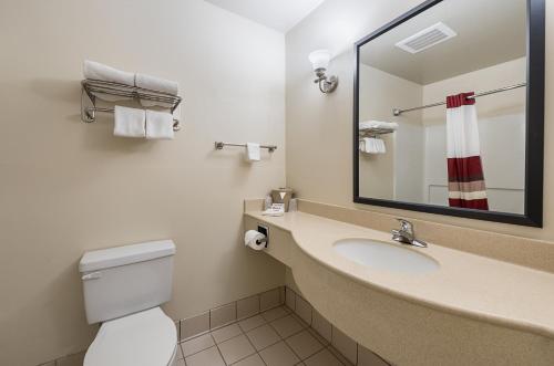 La salle de bains est pourvue d'un lavabo, de toilettes et d'un miroir. dans l'établissement Red Roof Inn Etowah – Athens, TN, à Etowah