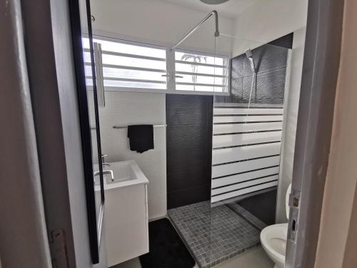 a small bathroom with a sink and a toilet at Appartement vue mer et montagne à 100m de la plage in Le Gosier