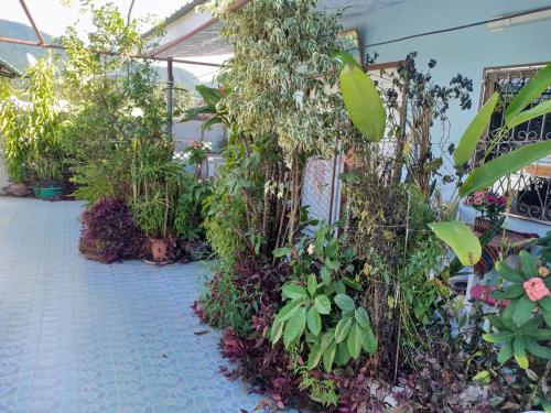 a greenhouse filled with plants and flowers at Sabaydee House at Pai in Pai