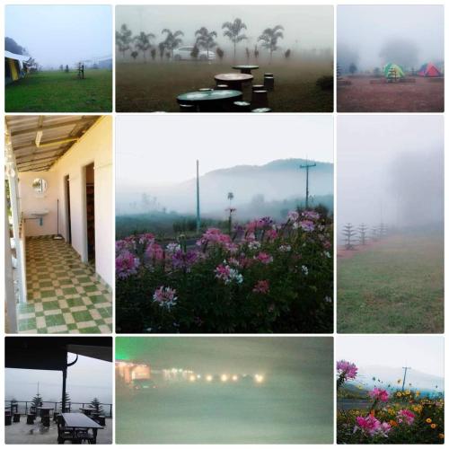 a collage of photos with flowers and fog in the background at เฟรนด์แคมป์ in Khao Kho