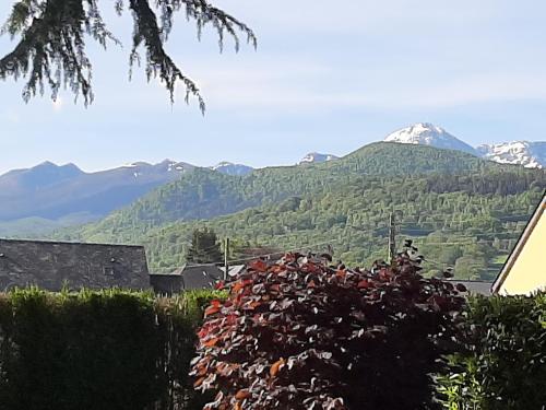 a bush with red flowers in front of a mountain at Chambre Candésie in Pouzac