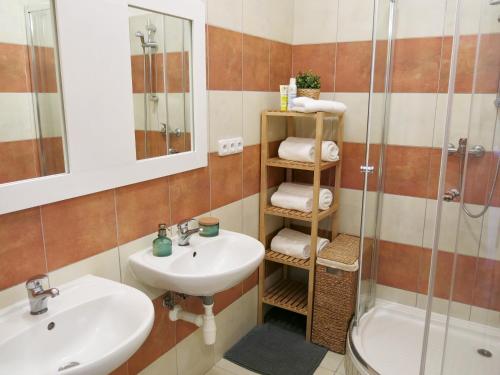 ein Bad mit einem Waschbecken und einer Dusche in der Unterkunft Apartmány Nad ZOO in Pilsen