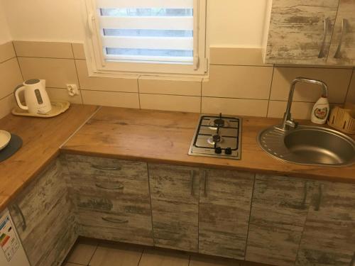 a kitchen with a sink and a counter top at Ośrodek Wypoczynkowy Lido Noclegi in Antonin