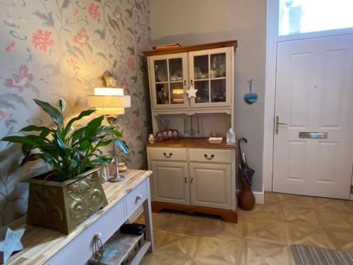 a room with a cabinet and a potted plant at Alpine cottage in Crieff