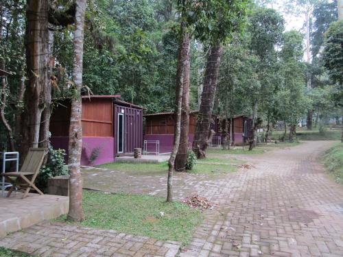 a path in a park with trees and a building at Lawu Forest Camp in Sarangan