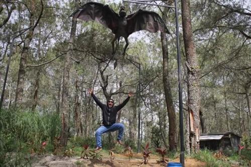 a man jumping in the air with a bat hanging from a tree at Lawu Forest Camp in Sarangan