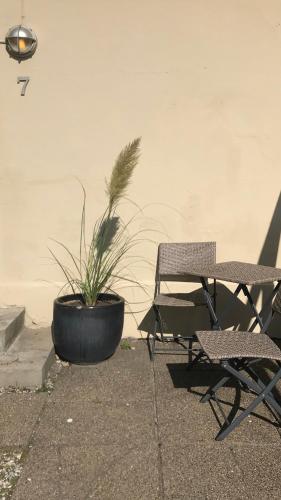 a potted plant sitting next to a table and chairs at Seaside VØ in Nørre Vorupør