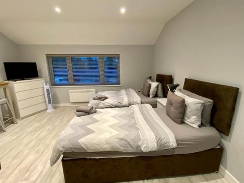 a bedroom with two beds and a television in it at Southernwood - Garden Lodge 14 in Didcot
