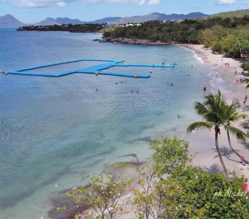 LE STUDIO DU MANGUIER