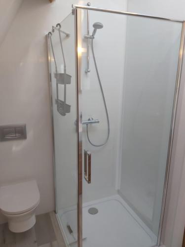 a bathroom with a shower and a toilet at B&B Buiten Gewoon Callantsoog in Callantsoog