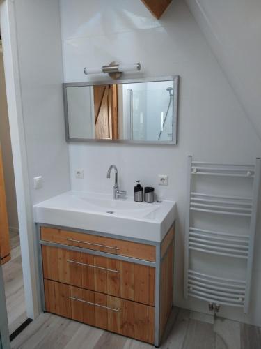 a bathroom with a sink and a mirror at B&B Buiten Gewoon Callantsoog in Callantsoog