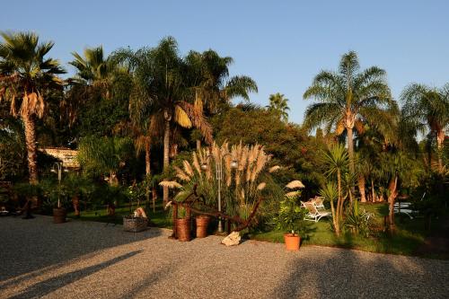 a garden with palm trees and cacti and plants at Agriturismo Papyrus in Siracusa