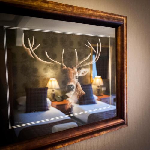 a framed picture of a deer in a bedroom at Loch Kinord Hotel in Dinnet