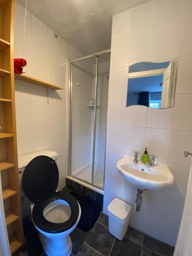La salle de bains est pourvue de toilettes, d'un lavabo et d'une douche. dans l'établissement Private Room in London, à Londres