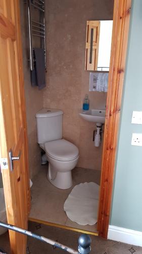 a bathroom with a toilet and a sink at Hour Glass Hotel in London