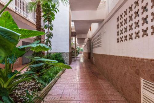 Apartamentos Bellamar