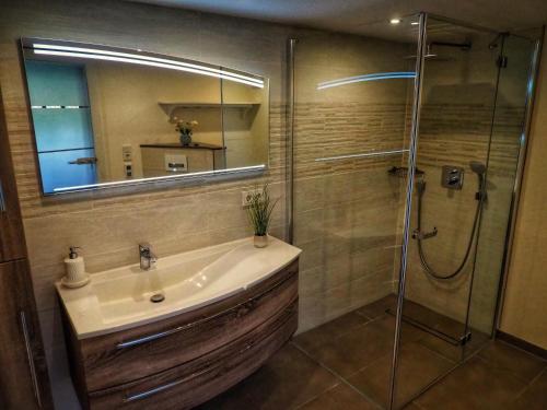 a bathroom with a sink and a shower with a mirror at Dorfidylle - Thüringer Wald Rennsteig in Friedrichroda