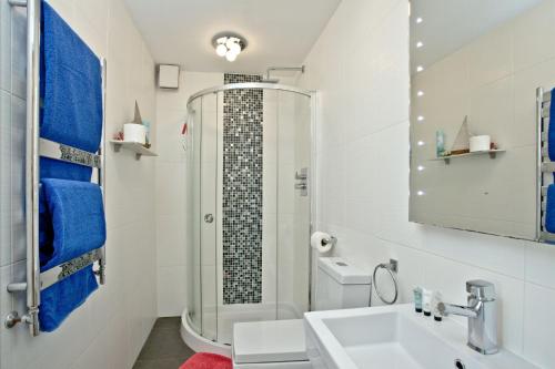 a bathroom with a shower and a sink and a toilet at 19 At The Beach, Torcross in Beesands