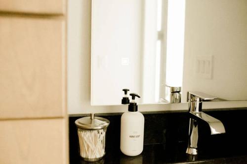 una encimera con dispensador de jabón en un lavabo en Burnett Cottage - Pine en Cedar Rapids