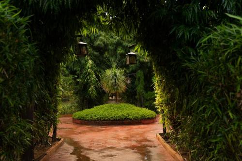 Zahrada ubytování The Fern Ranthambore Forest Resort Rajasthan