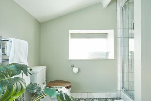 a bathroom with a toilet and a window and a plant at The Swan Inn in Winscombe