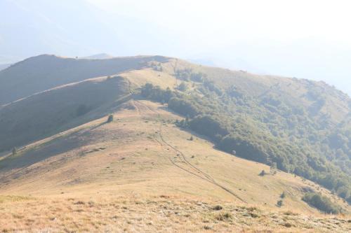 a view of a hill with trees on it at Vikendica Vila Despotovic in Kopaonik