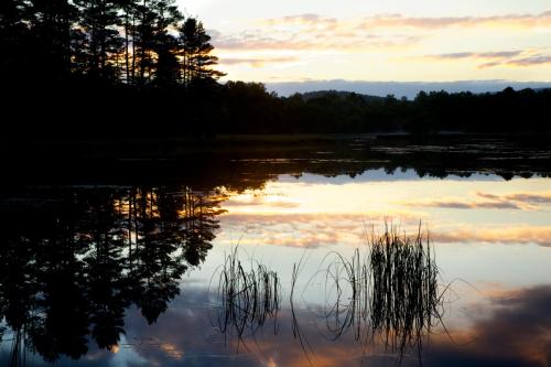 an image of a lake at sunset at Loch Kinord Hotel in Dinnet