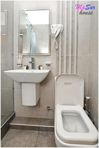 a bathroom with a sink and a toilet and a mirror at Masur House and Tours in Yerevan