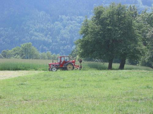 a red tractor sitting in a field next to a tree at Wachahof in Edlitz
