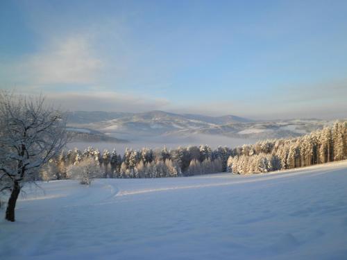 a snow covered field with trees and a mountain at Wachahof in Edlitz