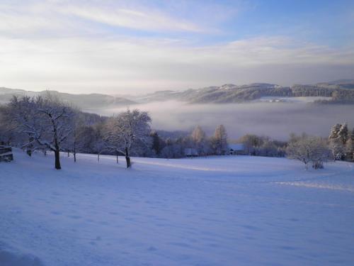a snow covered field with trees and clouds in the distance at Wachahof in Edlitz