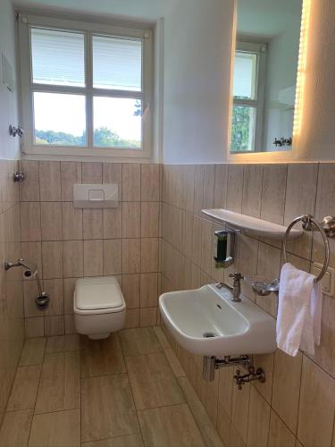a bathroom with a sink and a toilet and a mirror at Park-Lodge Am Rohrbusch in Münster