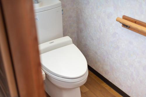 a bathroom with a white toilet in a room at Hostel 東風ノ家（Kochi-no-ya） in Aki