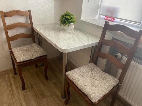 a small table with two chairs and a plant on it at Babylon Apartments on Era 2 in Rivne