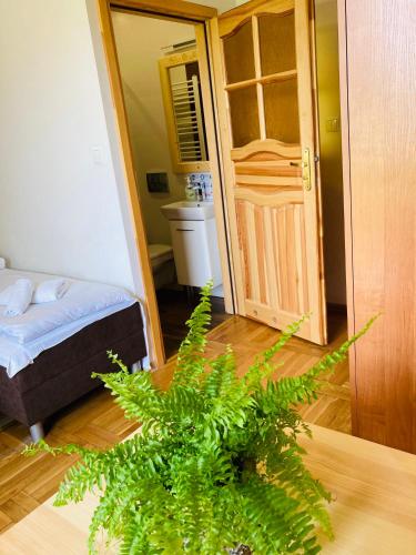 a bedroom with a bed and a plant on a table at Na Kamieńcu in Czarny Dunajec
