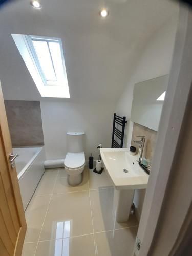 a bathroom with a toilet and a sink and a skylight at 2 Bear Barns in Rhayader