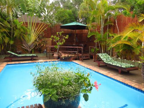a swimming pool with plants and a table and an umbrella at Bhangazi Lodge Bed & Breakfast in St Lucia