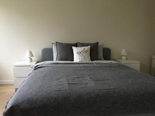 Un pat sau paturi într-o cameră la Fox Apartments - Pie Lapsas