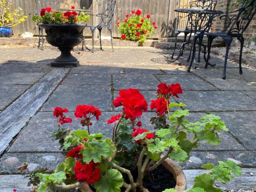 a pot of red flowers on a patio at Pier View Self Catering Luxury Apartments in Southend-on-Sea